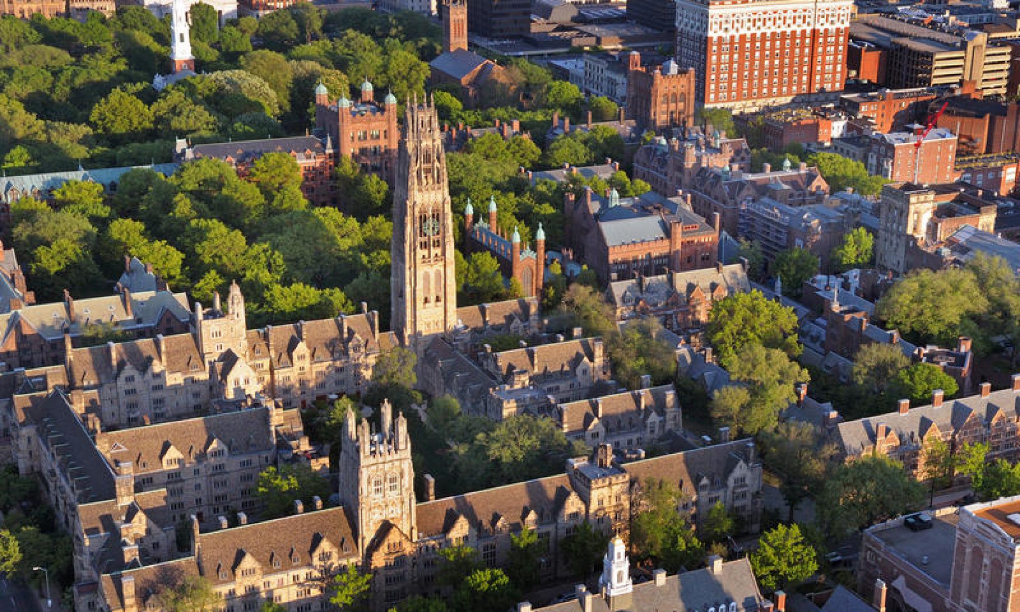 Malone Disturbance Ecology Lab moves to Yale University
